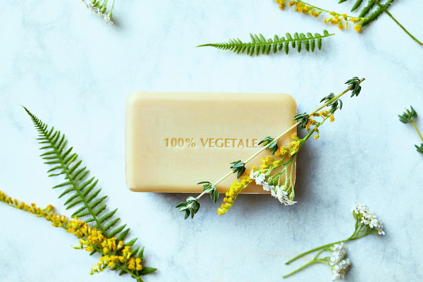 Headergrafik Vegan