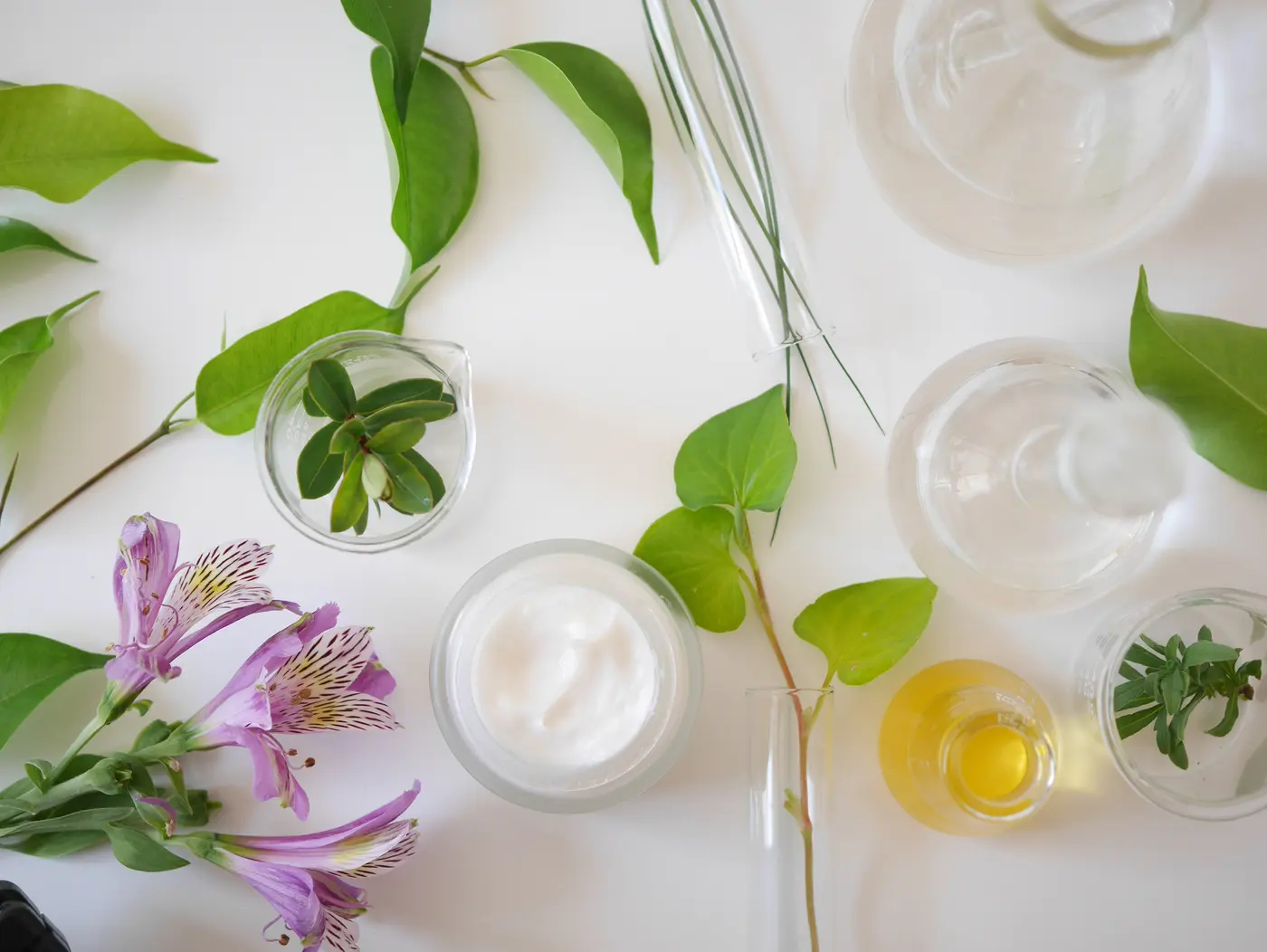 Pflanzen und Naturkosmetikprodukte