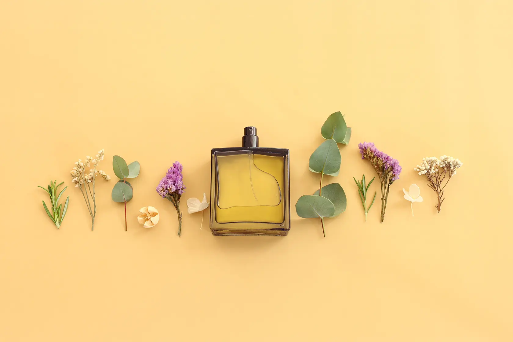 Headergrafik Duftpyramide