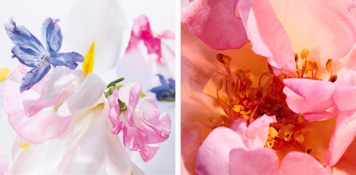 Duftnoten im neuen Miss Dior Eau de Parfum Blumenbouquet im neuen Miss Dior Eau de Parfum
