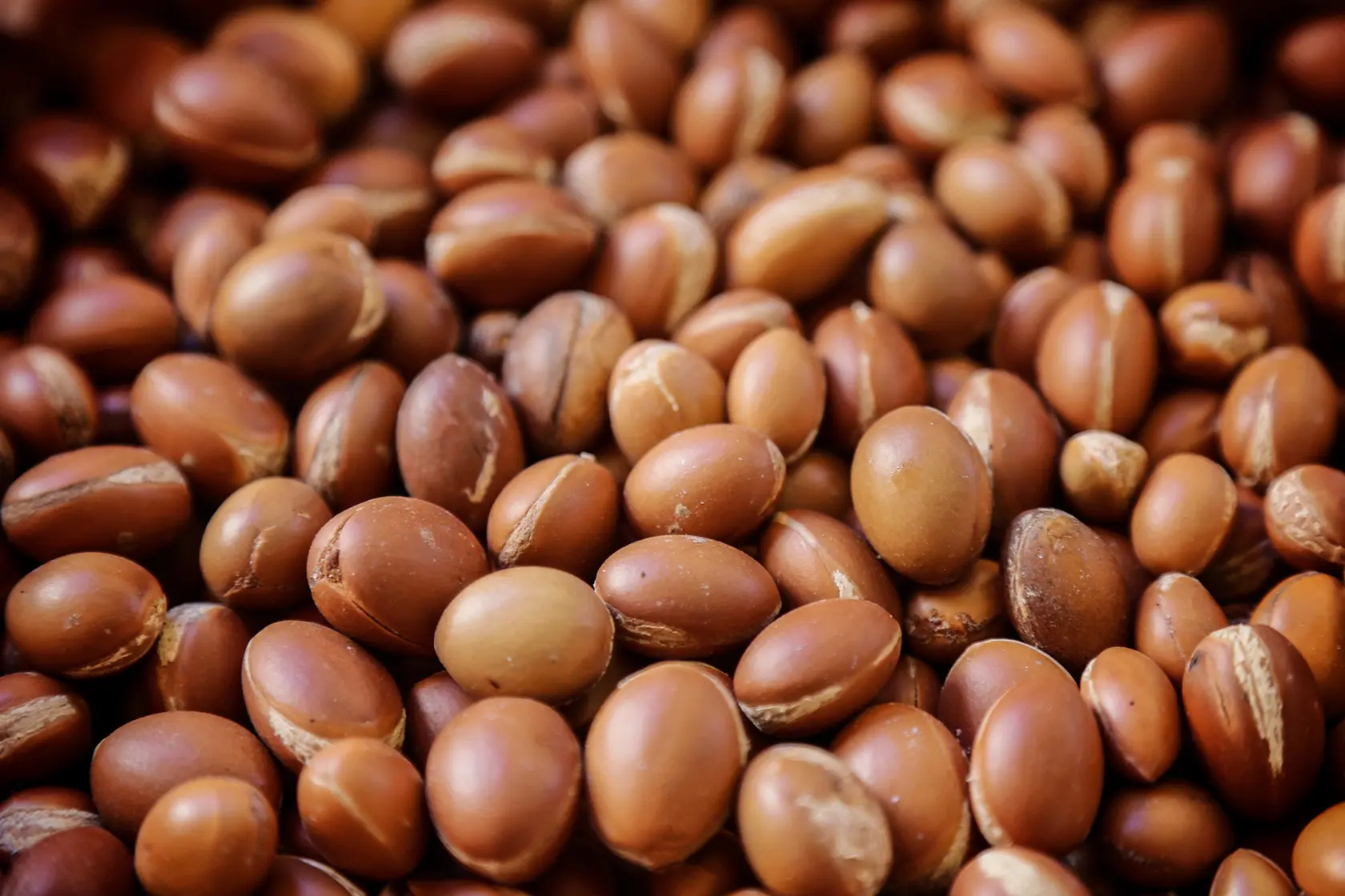 Headergrafik Arganöl