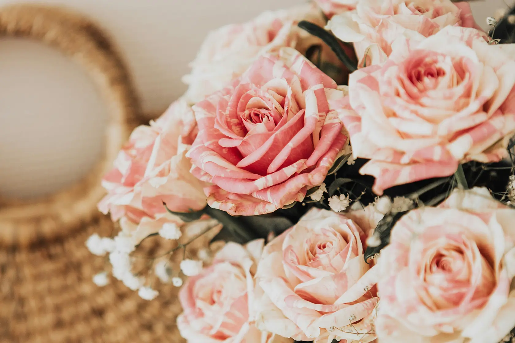 Headergrafik Rose