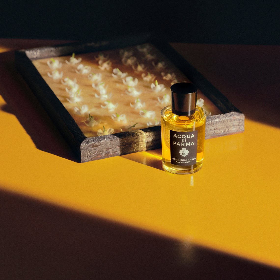 Duftflakon Gelsomino a Freddo von Acqua di Parma