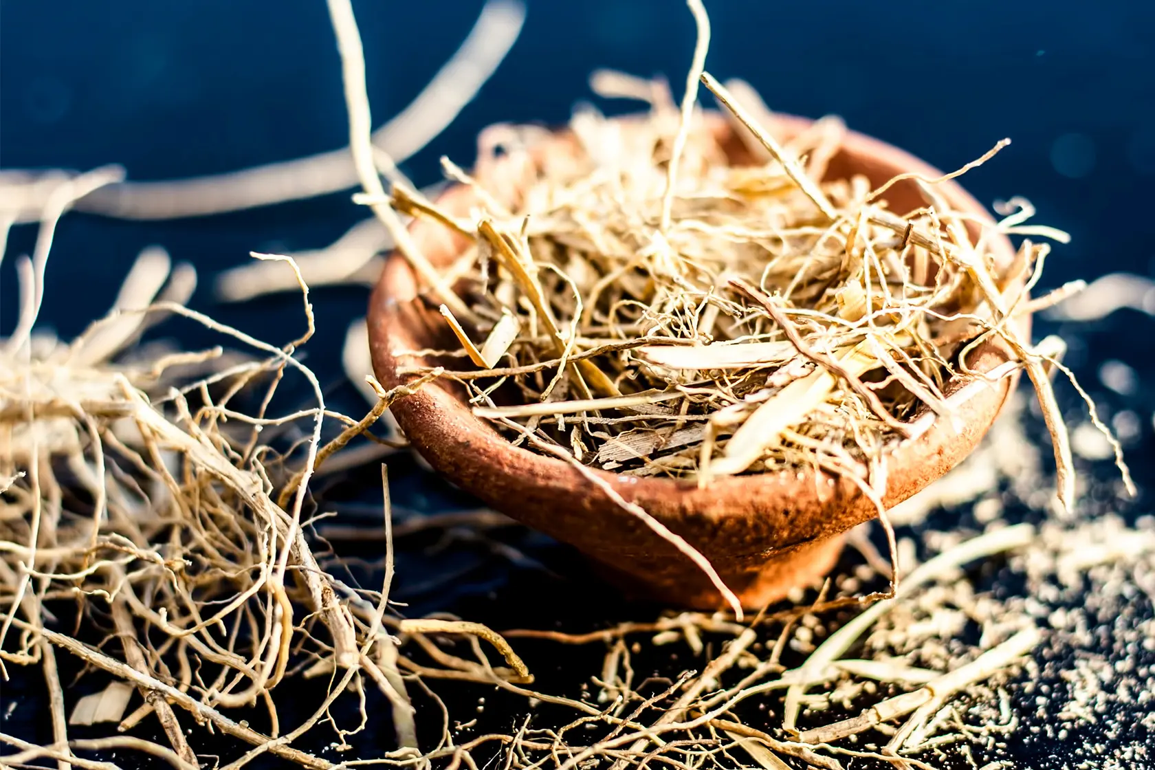 Headergrafik Vetiver