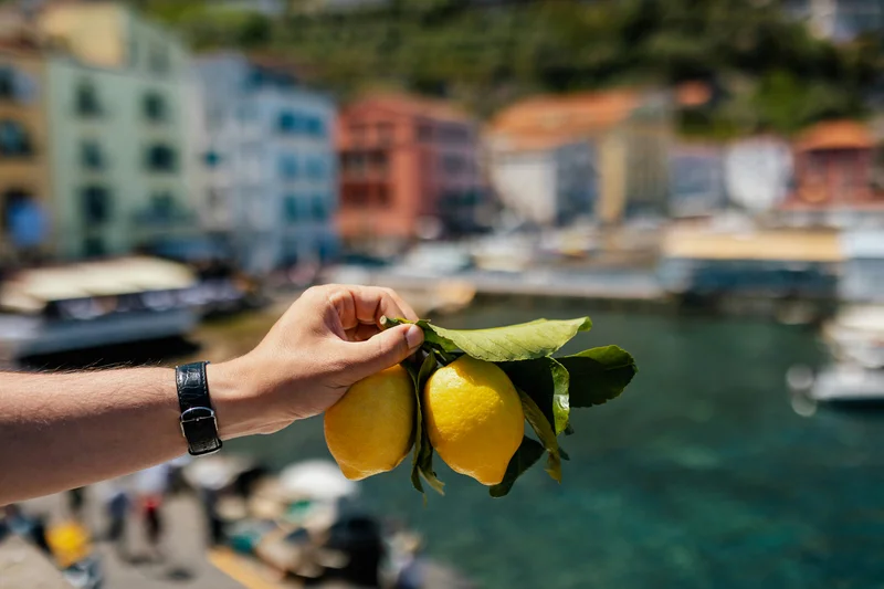 Eine Hand hält zwei Zitronen, im Hintergrund eine mediterrane Hafenkulisse 