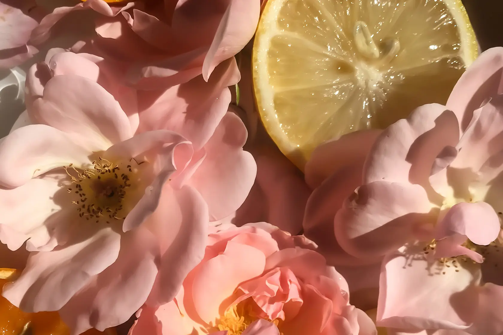 Headergrafik Chypre