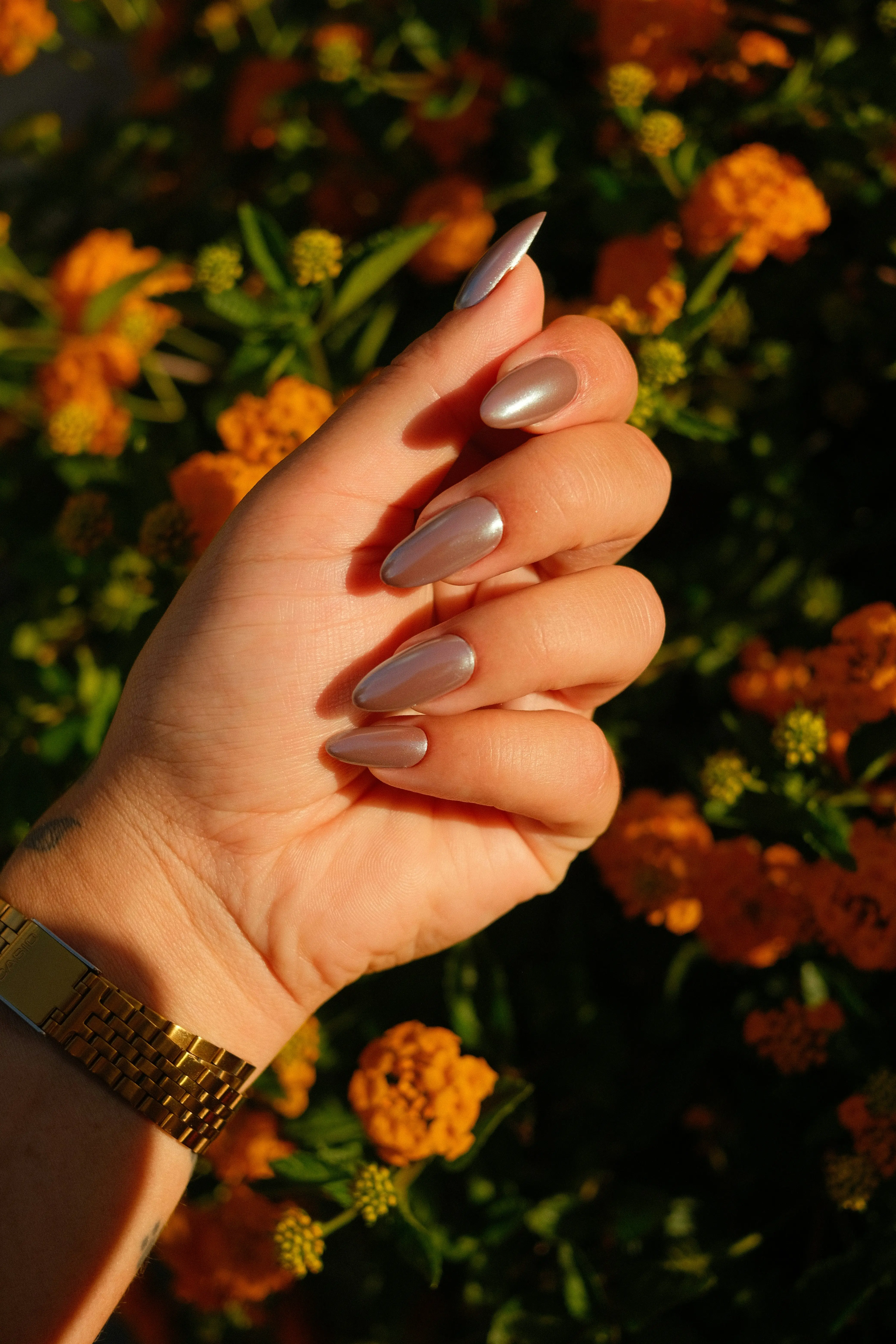 Headergrafik Gel Nails