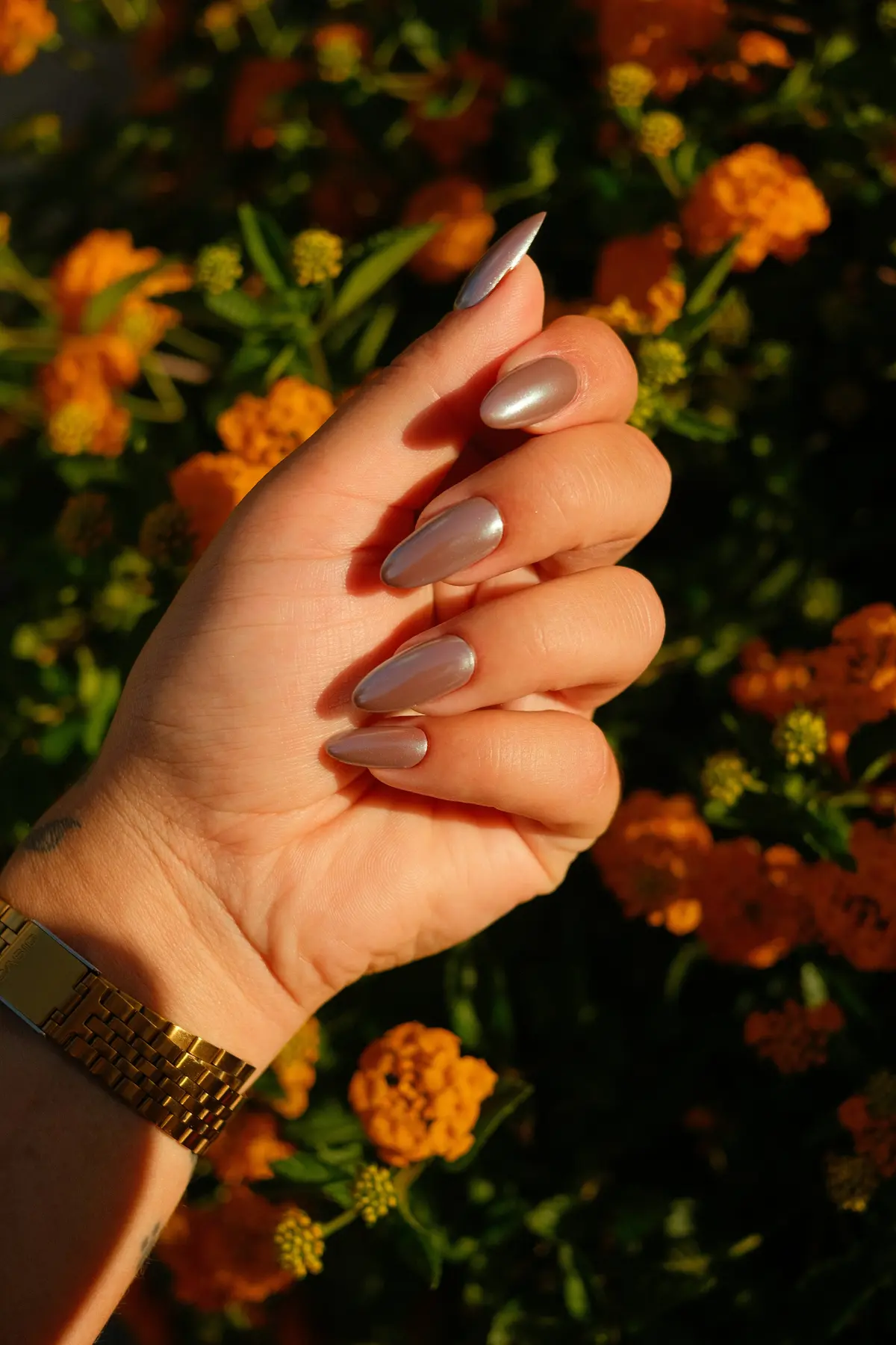 Headergrafik Gel Nails