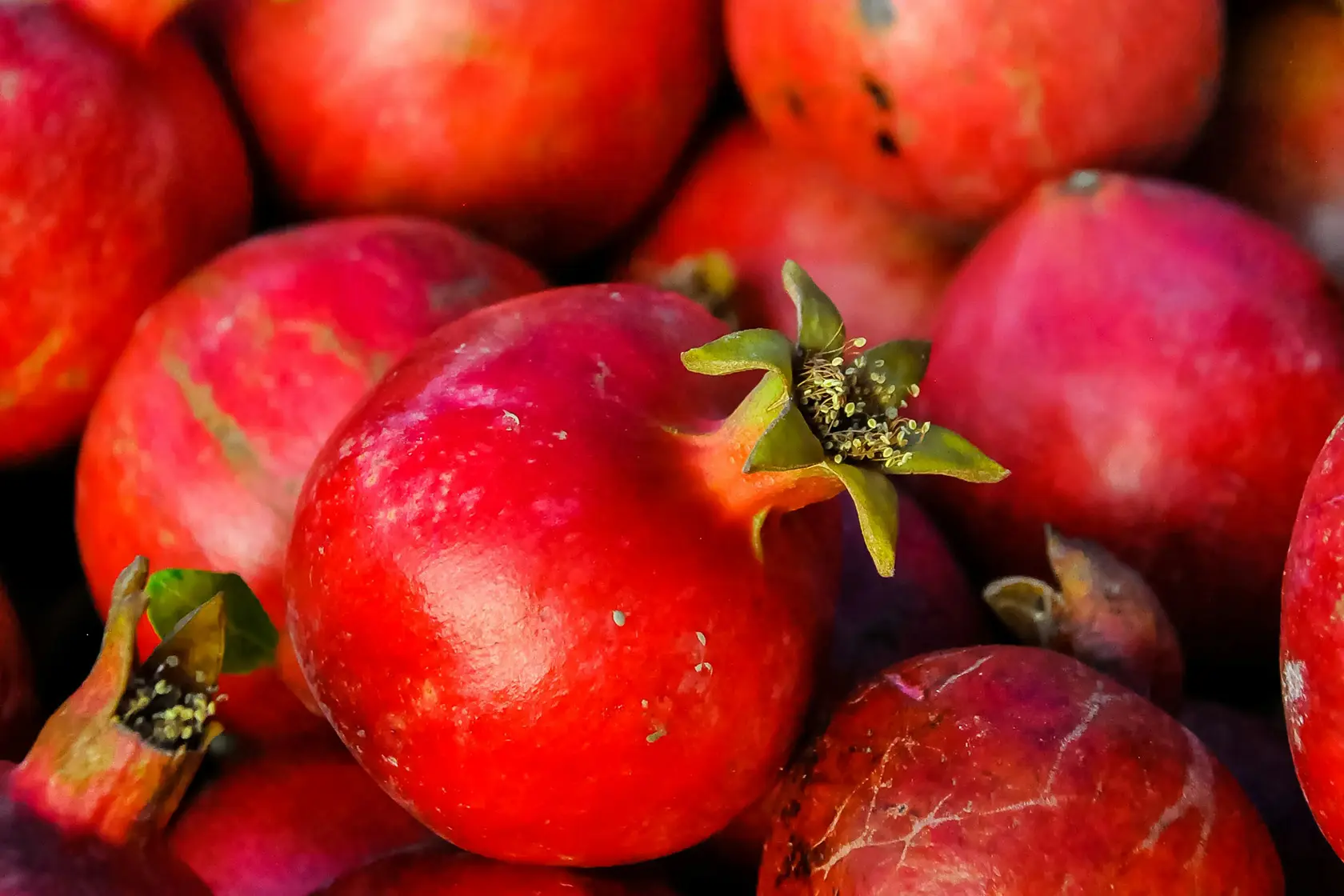Headergrafik Granatapfel