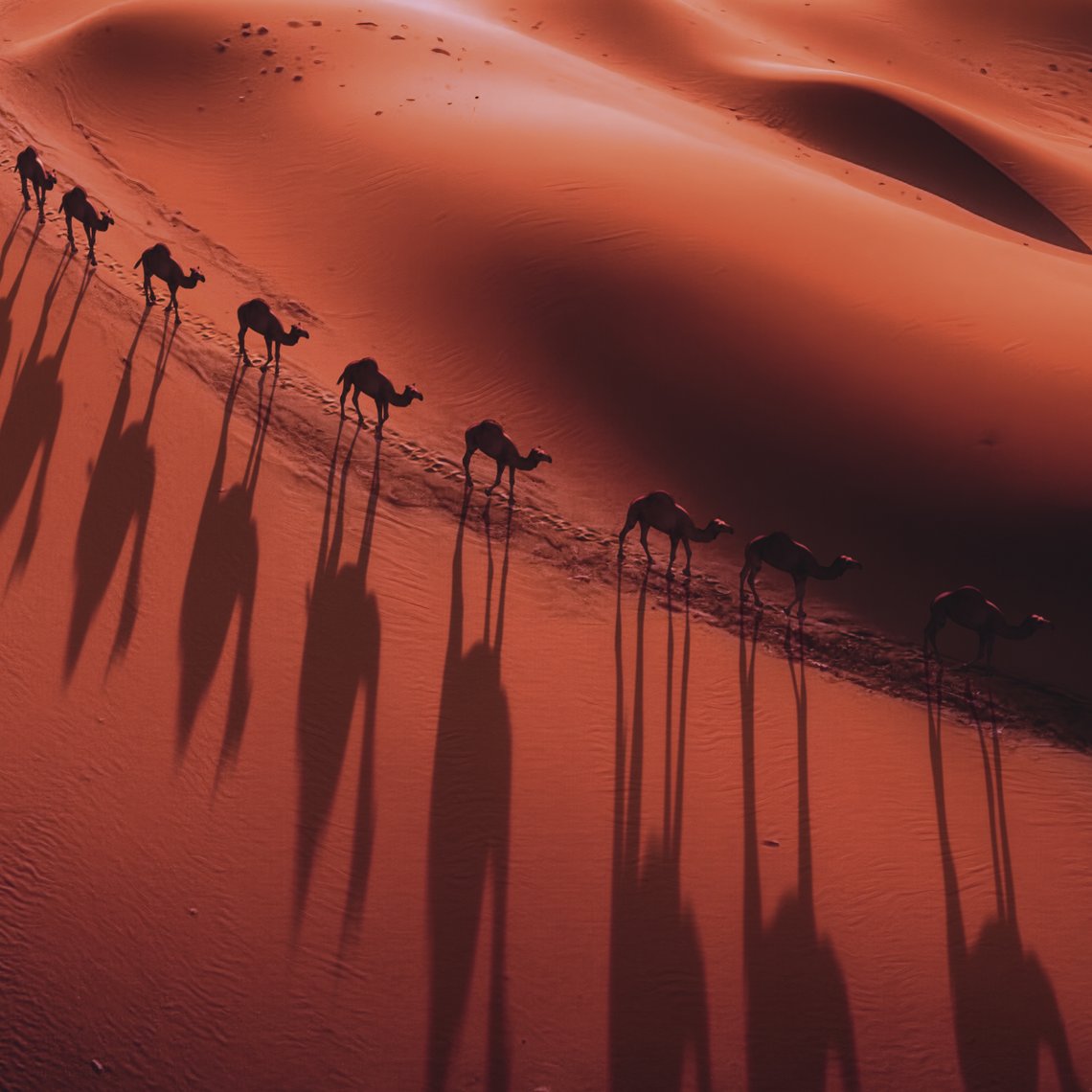 LP_AA_TABAC_SAHARA_STORYTELLING_BLANK