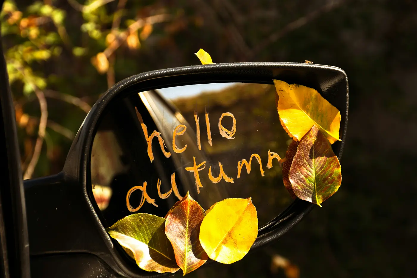 ein-seitenspiegel-mit-blättern-darauf-sowie-aufschrift-hello-autum