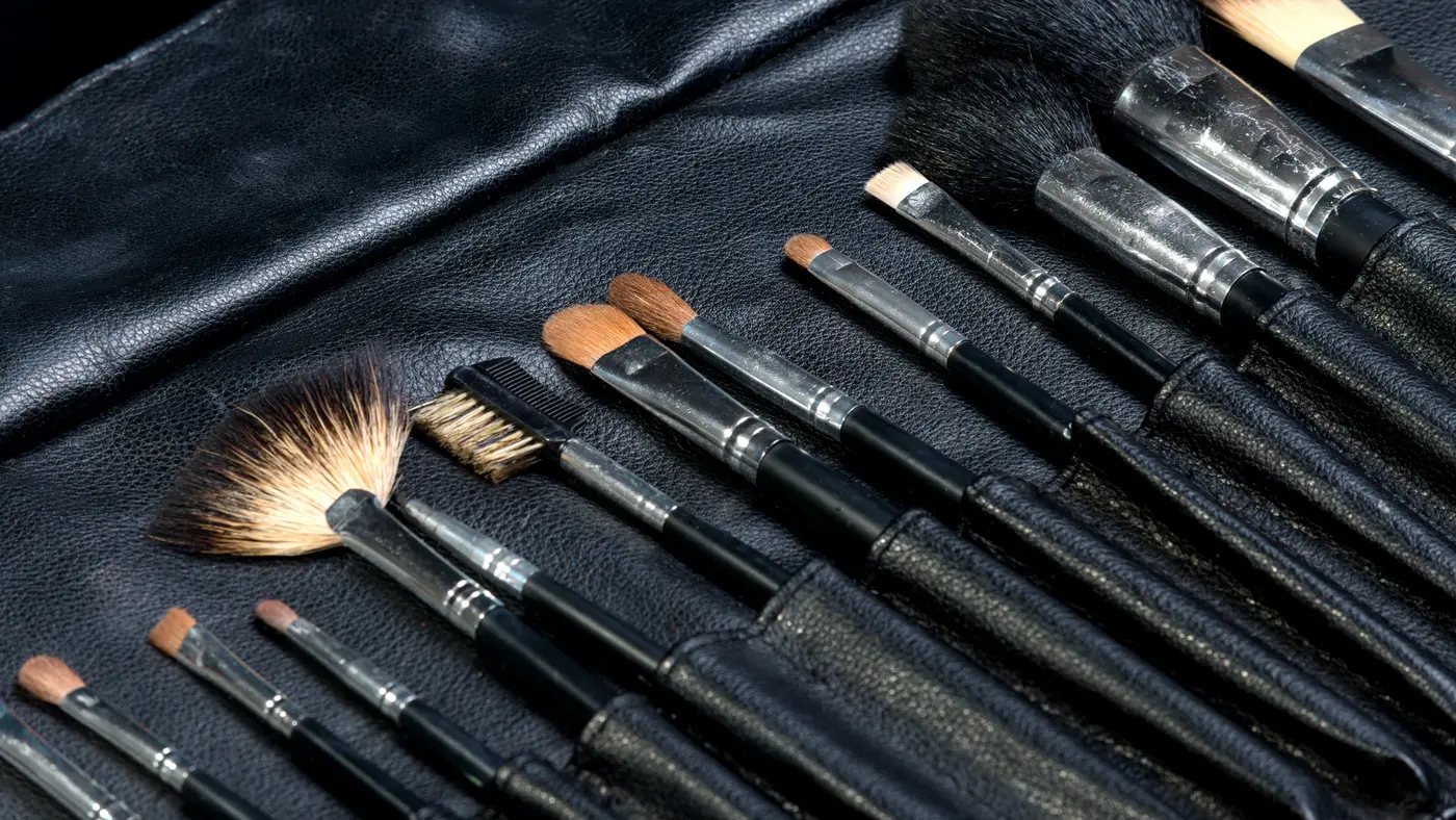 Make-up Pinsel in einem Stoff-Etui