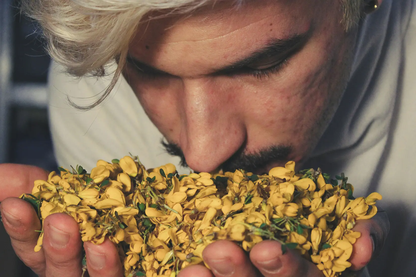 Headergrafik Parfümeur