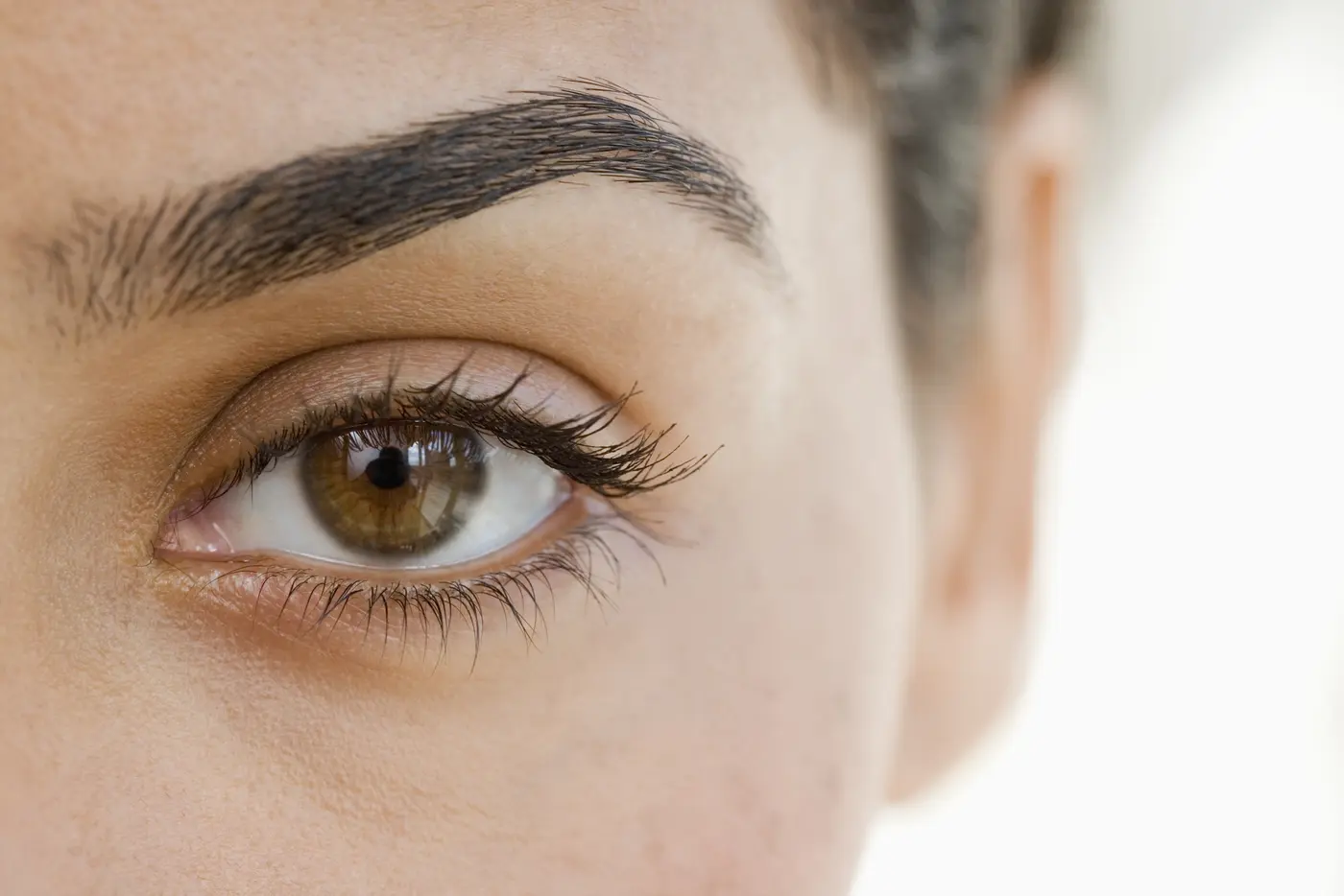 Powder Brows