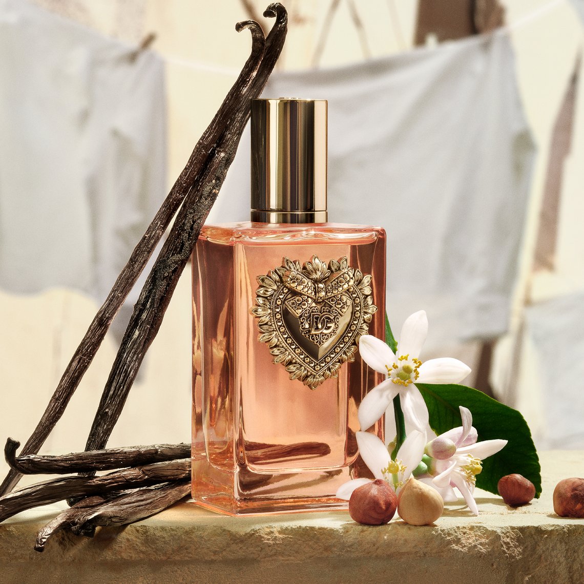 Duftnoten von Devotion Eau de Parfum Intense von Dolce&amp;Gabbana