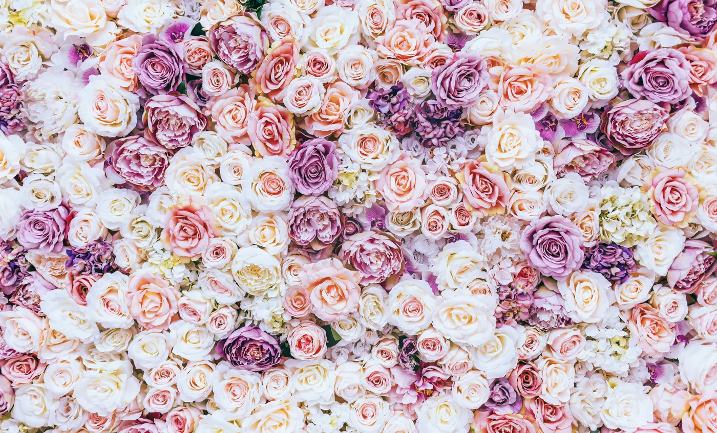 Rosen