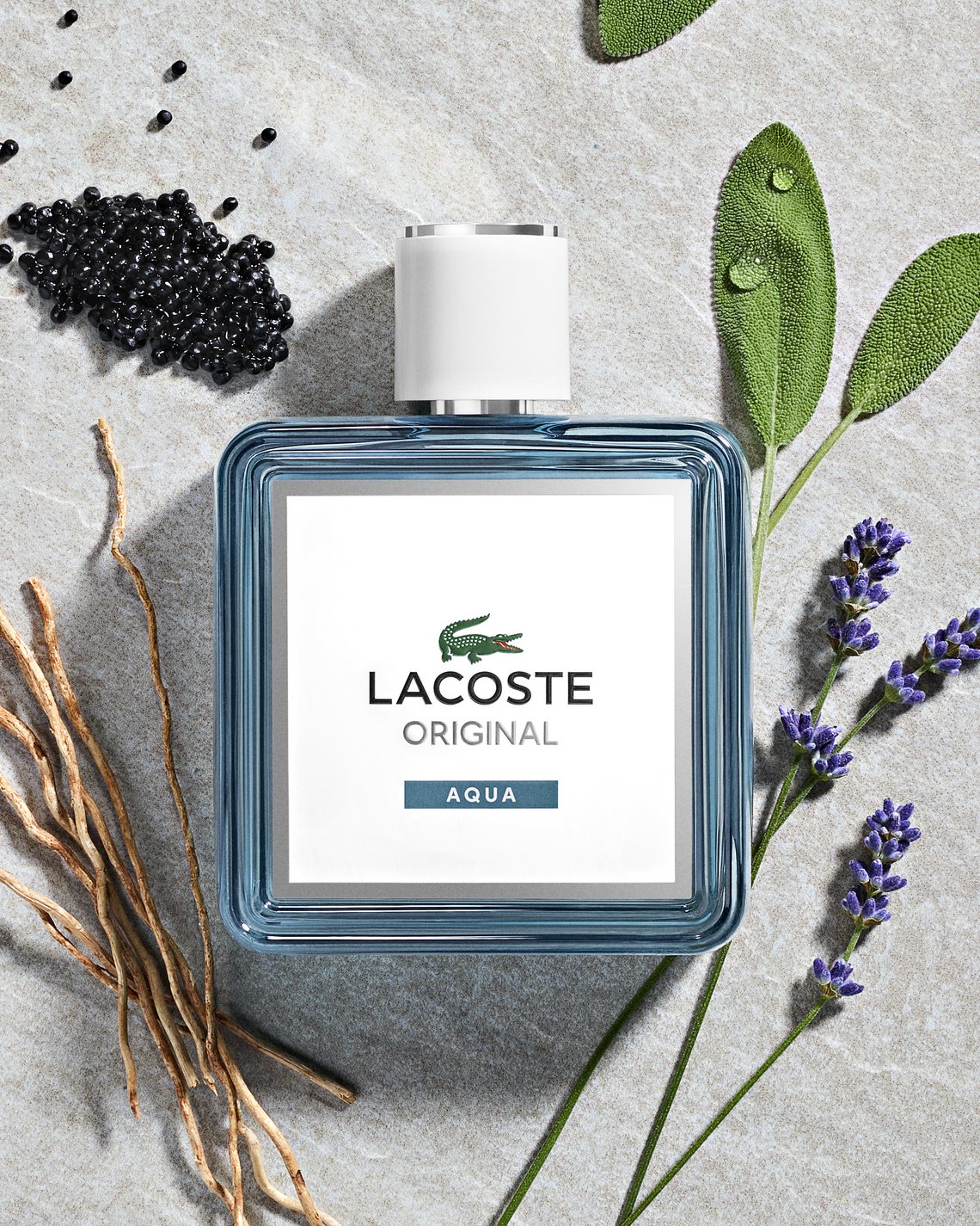 Lacoste Original Aqua Eau de Toilette Flakon umgeben von Duftnoten wie Lavendel, Salbei, Wurzeln und dunklen Beeren auf hellem Untergrund
