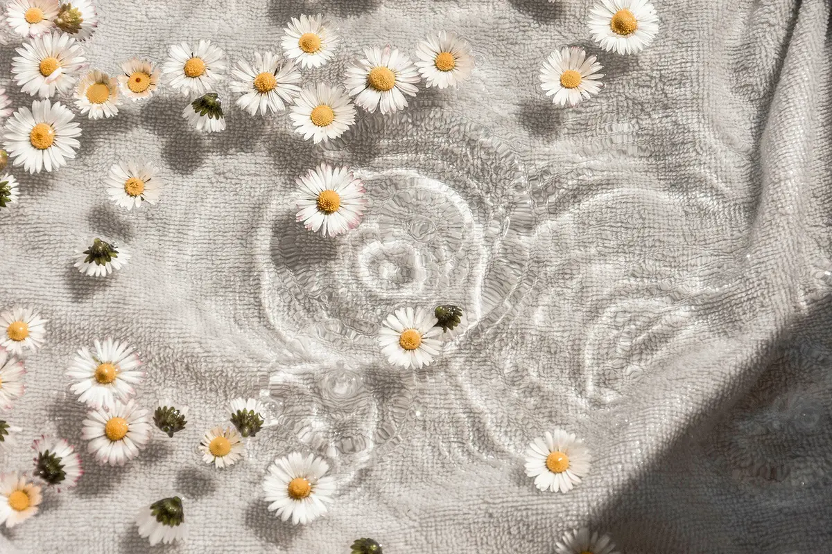 Headergrafik Eau Fraiche