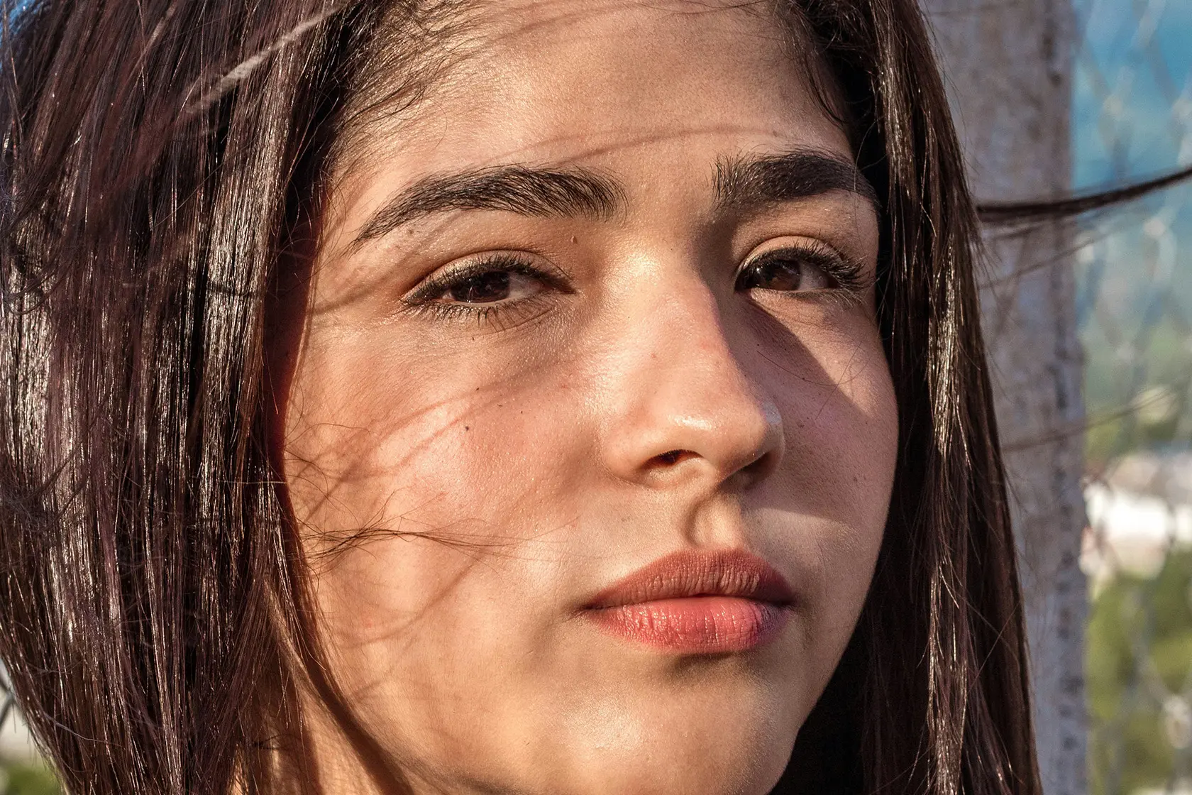 Headergrafik Mischhaut