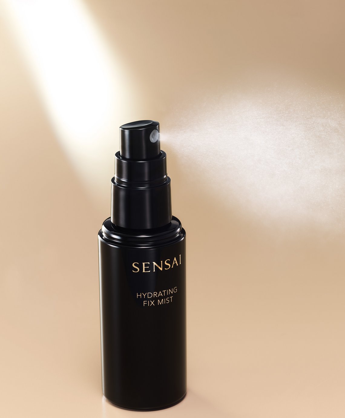 Produktbeschreibung HYDRATING FIX MIST
