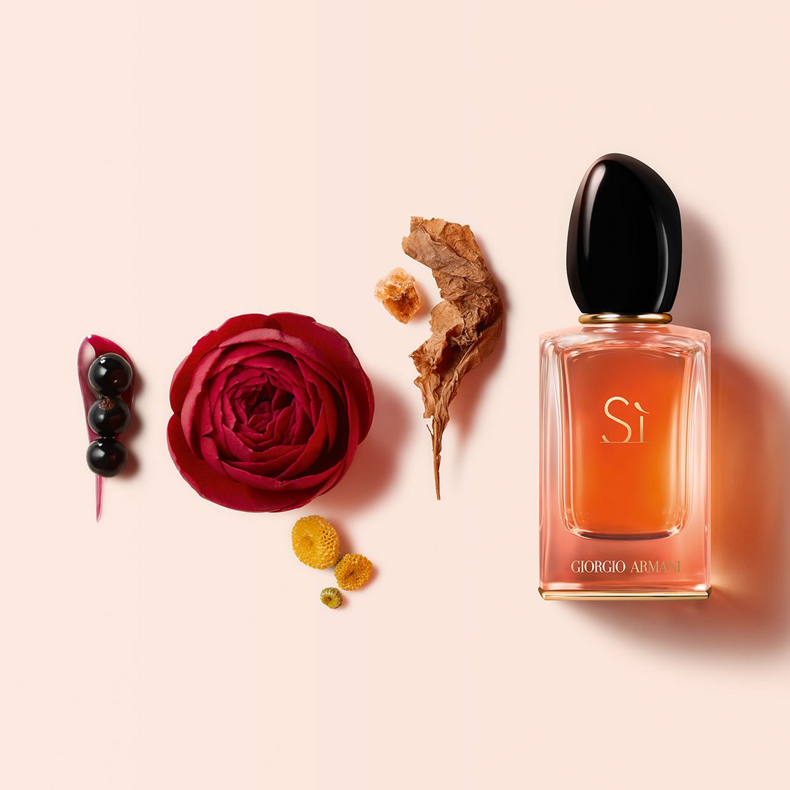 Duftnoten in Sì Eau de Parfum Intense: Schwarzer Johannisbeer-Nektar, Isparta-Rose, Patschuli und Benzoe-Harz