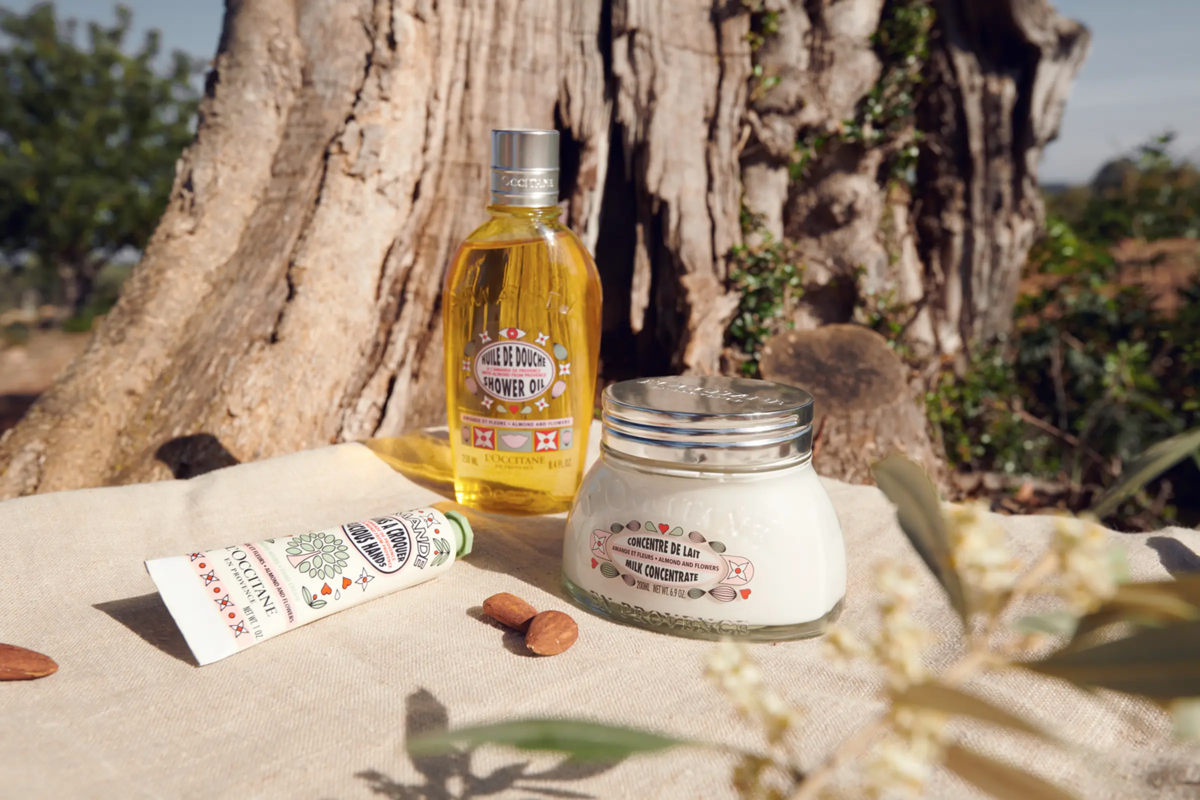 L’OCCITANE en Provence Almond