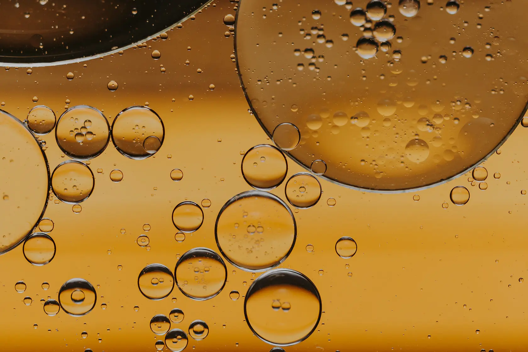 Headergrafik Lipide