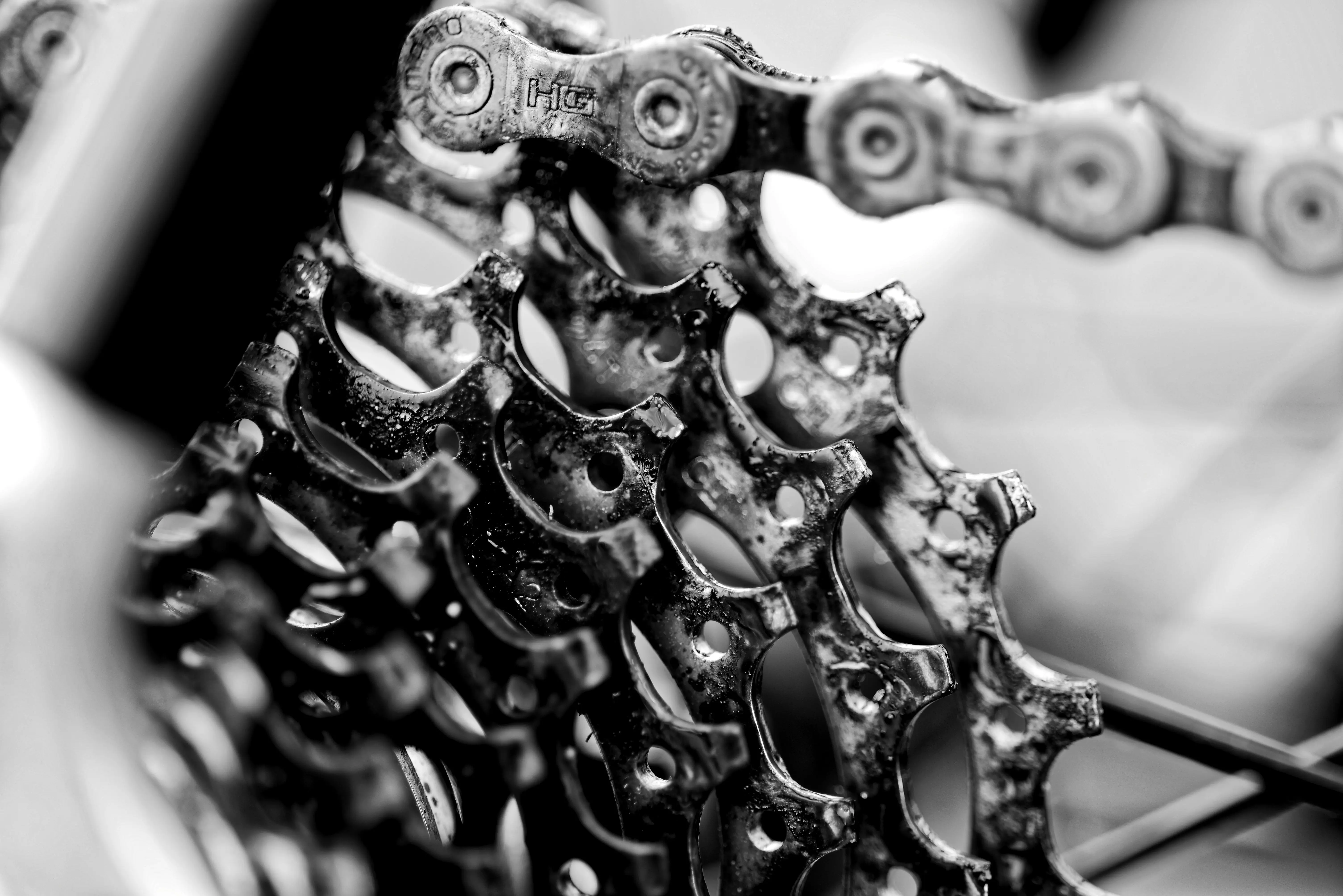 Headergrafik Metallische Noten