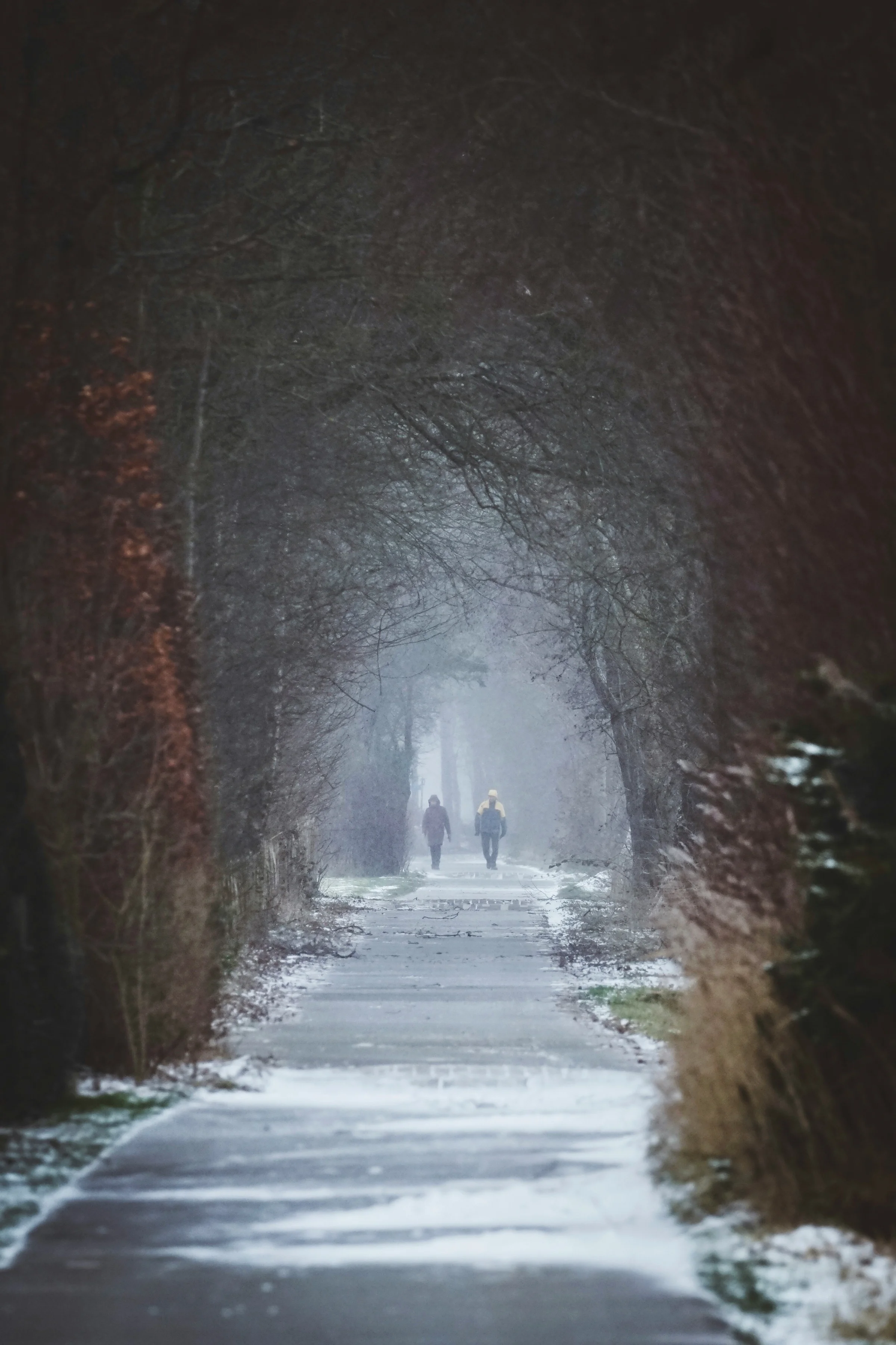 Winterliche Allee bei beginnender Dämmerung, im Hintergrund 2 Spaziergänger 