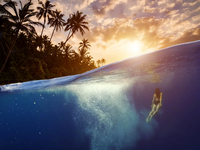 Frau taucht mit Fischen im Meer
