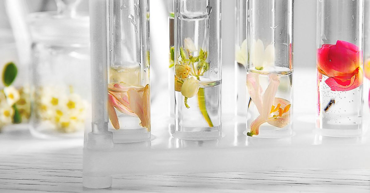 Vegane Parfums - ein Überblick