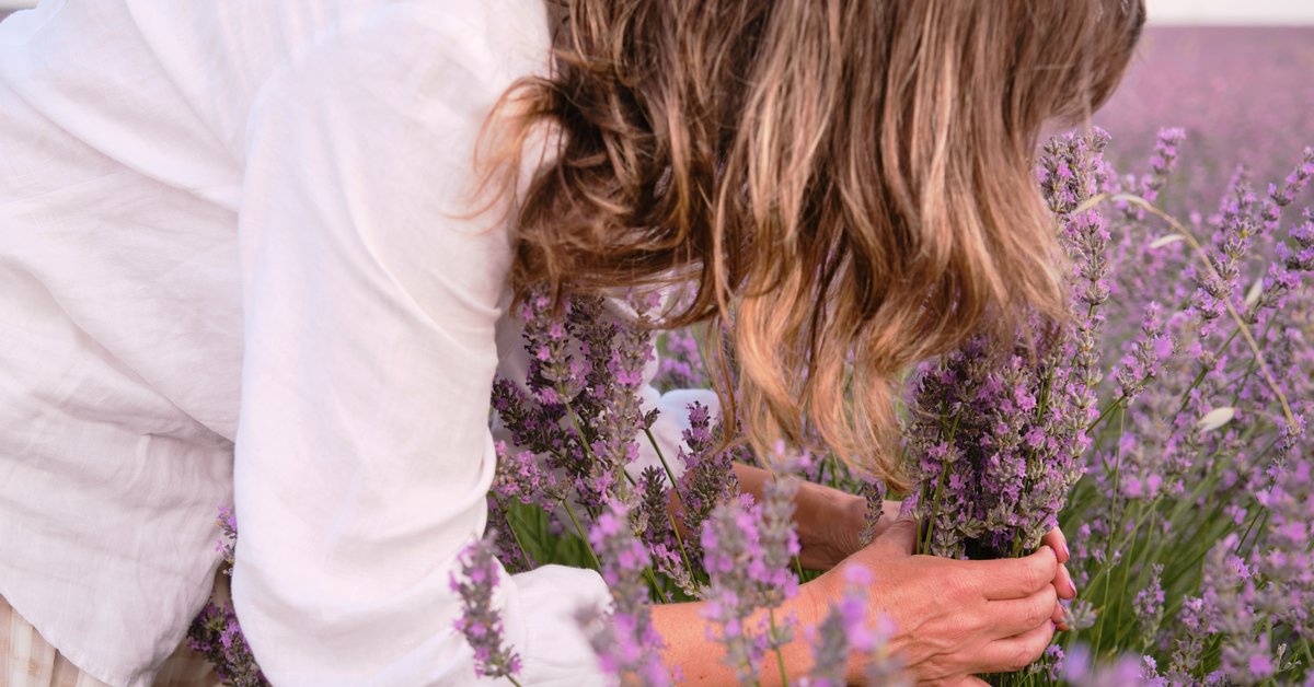 Lavendel Eau De Toilette Für Frauen – Perfekt Zum Entspannen, 30 Ml Reisegröße