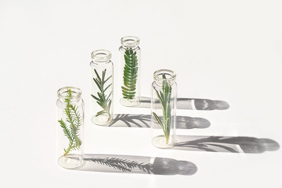 Green Beauty Week