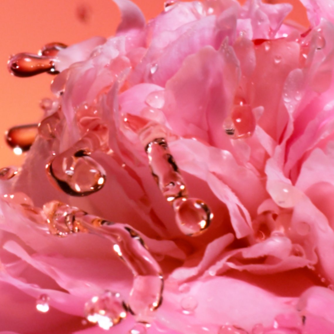 Duftnote: samtiges Damaszener-Rosen-Absolue