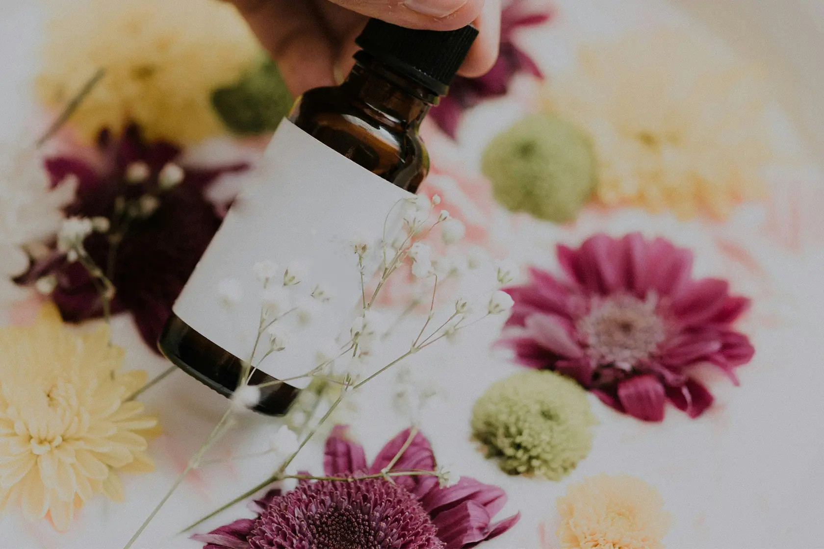 Headergrafik Bio Parfum