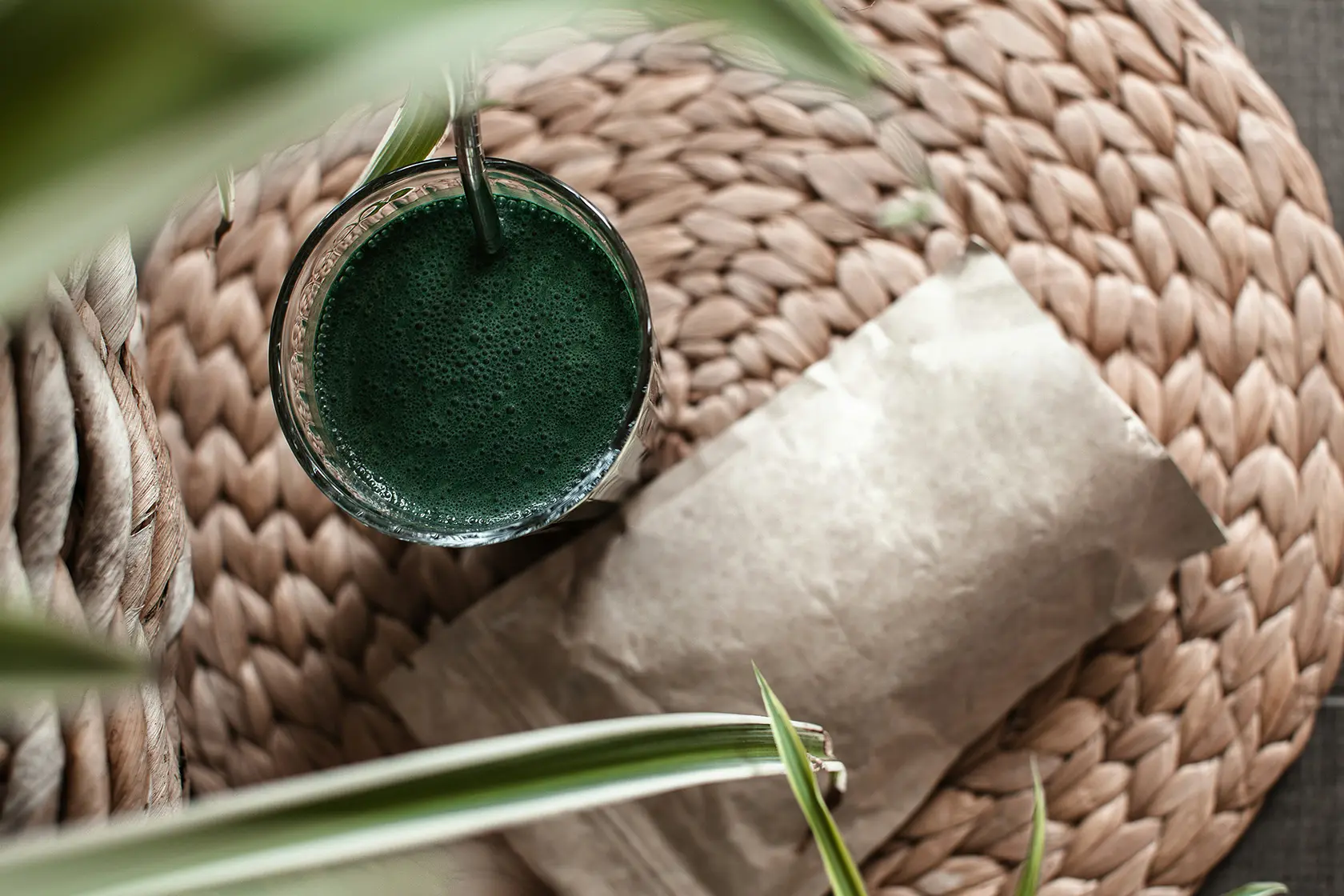 Headergrafik Spirulina