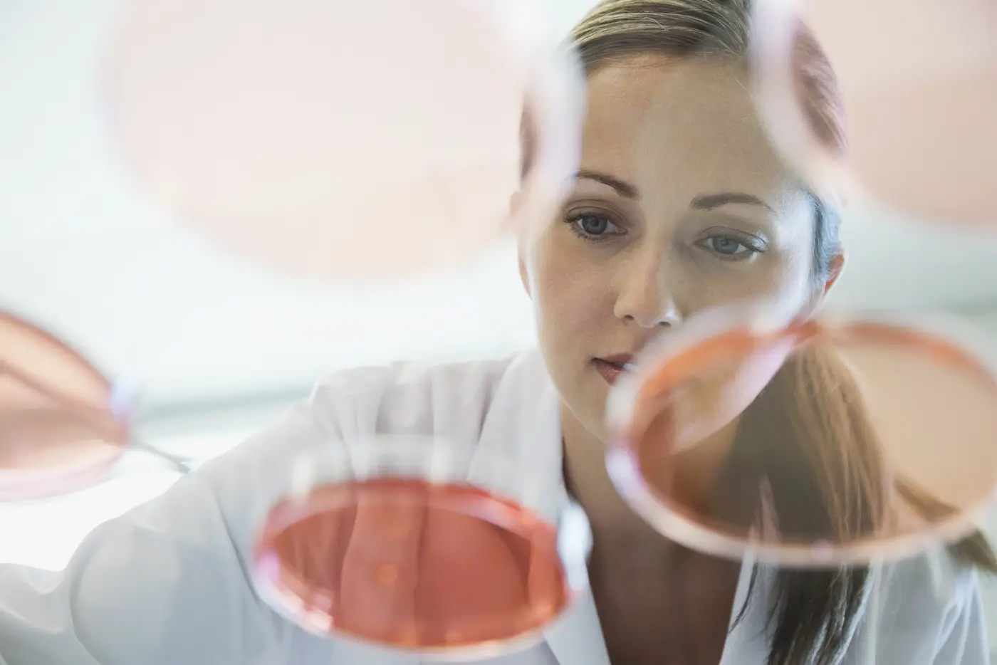 Wissenschaftlerin analysiert Chemikalien in einer Petrischale