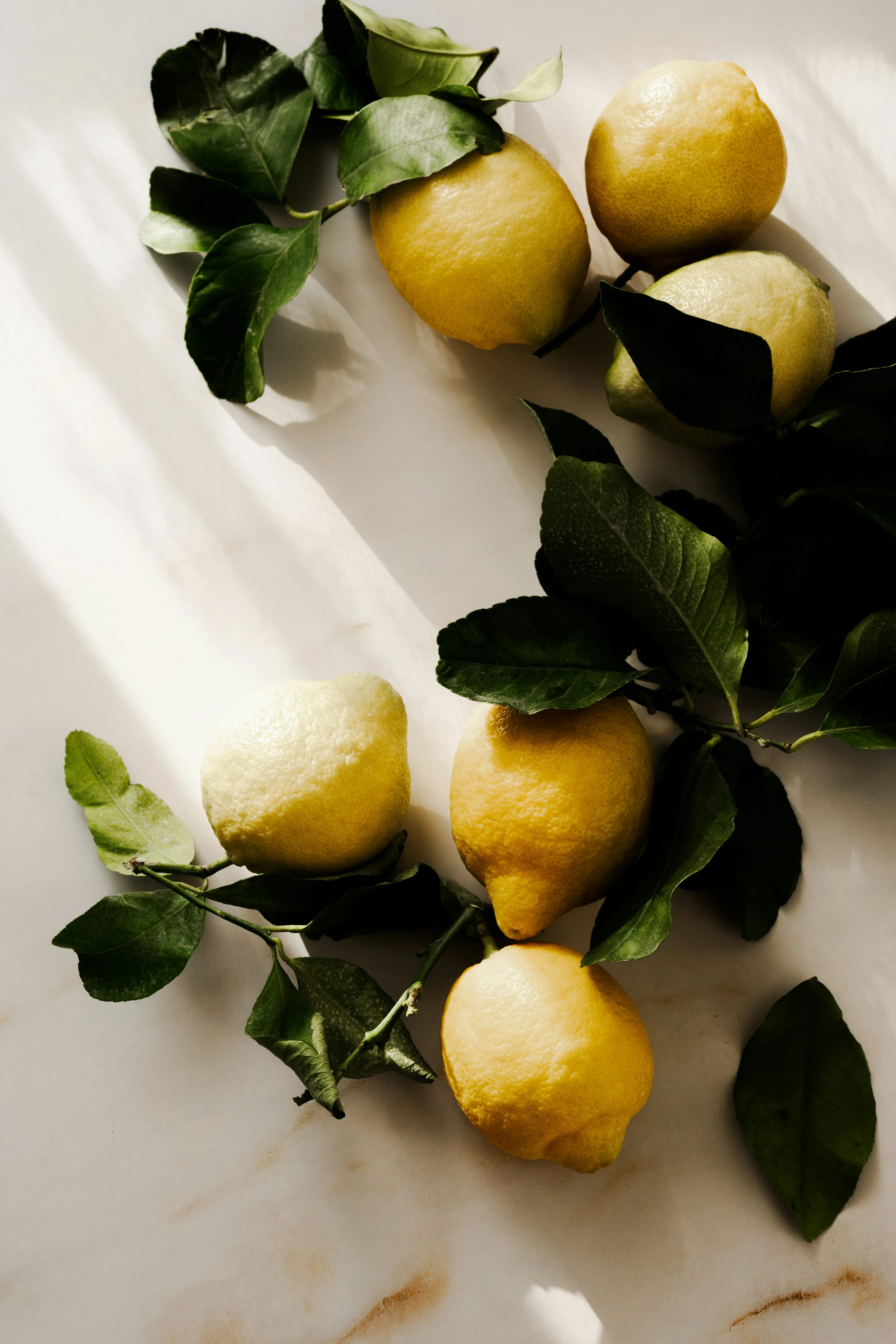 Headergrafik Yuzu