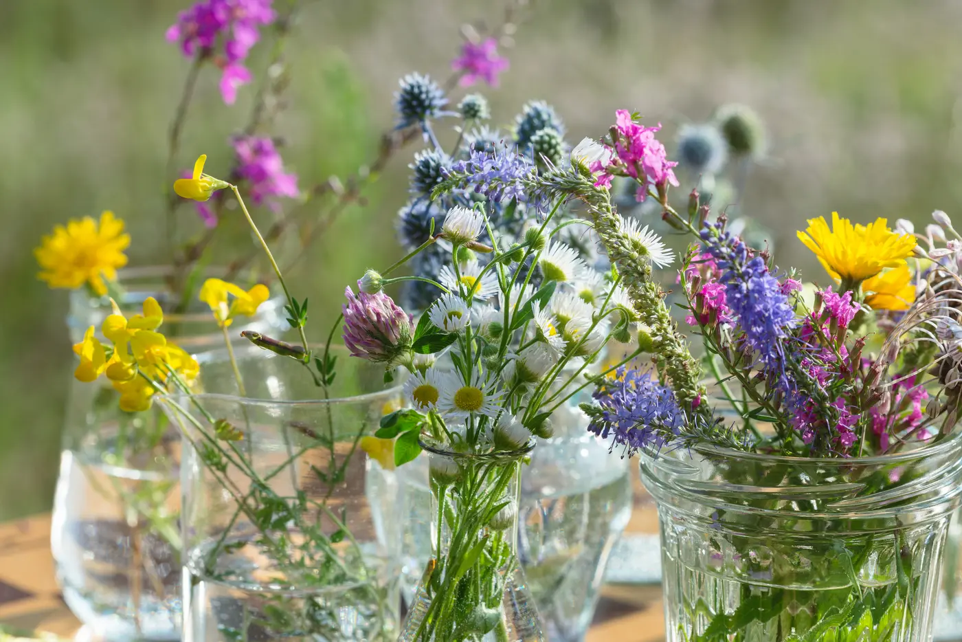 Blumige Parfums für den Sommer