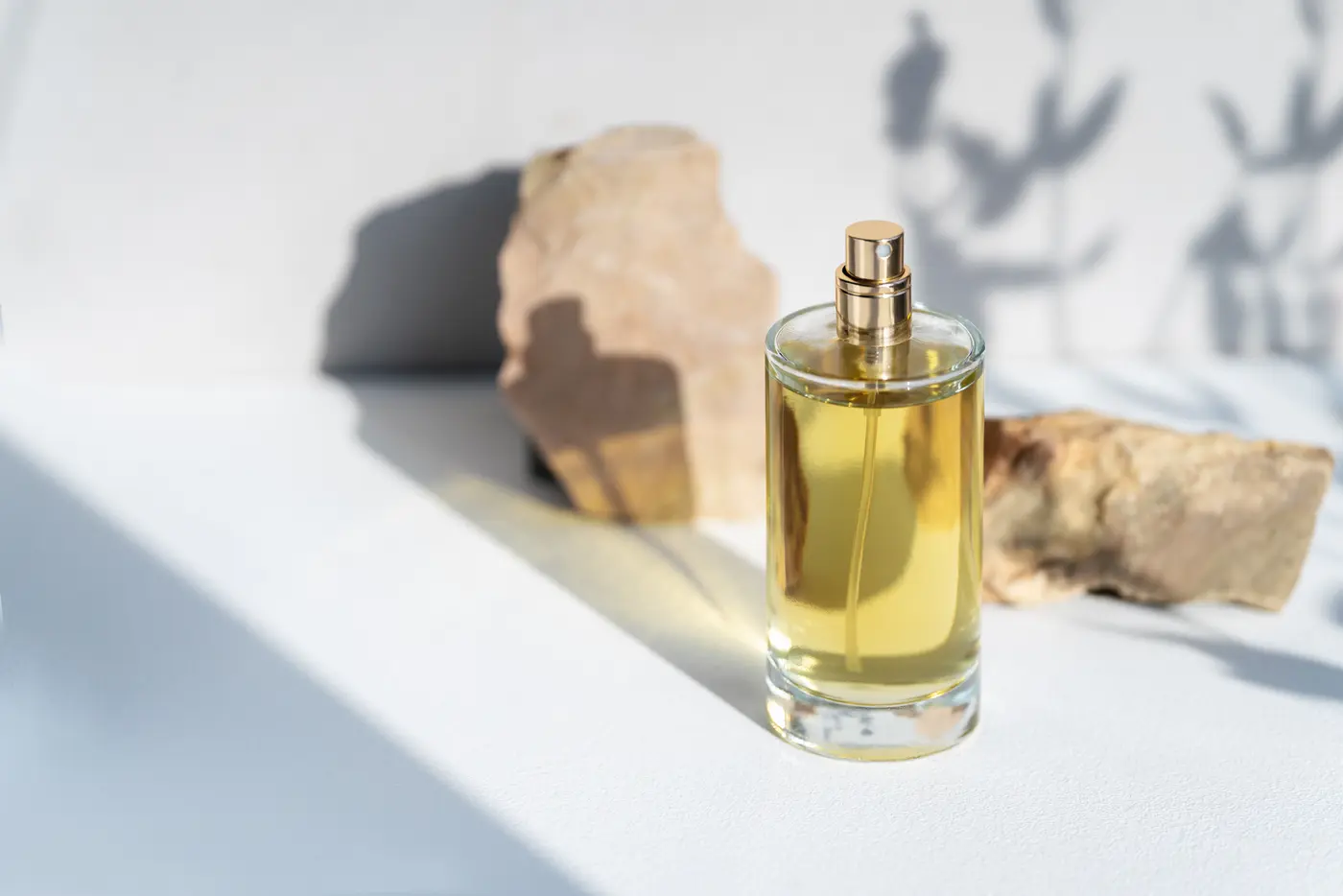 Parfums mit Zedernholz