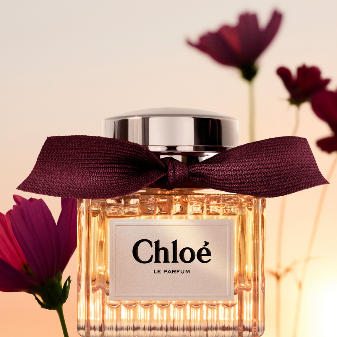 Chloé Le Parfum, Close-up auf Flakon, arragngiertmit Ingredienzien