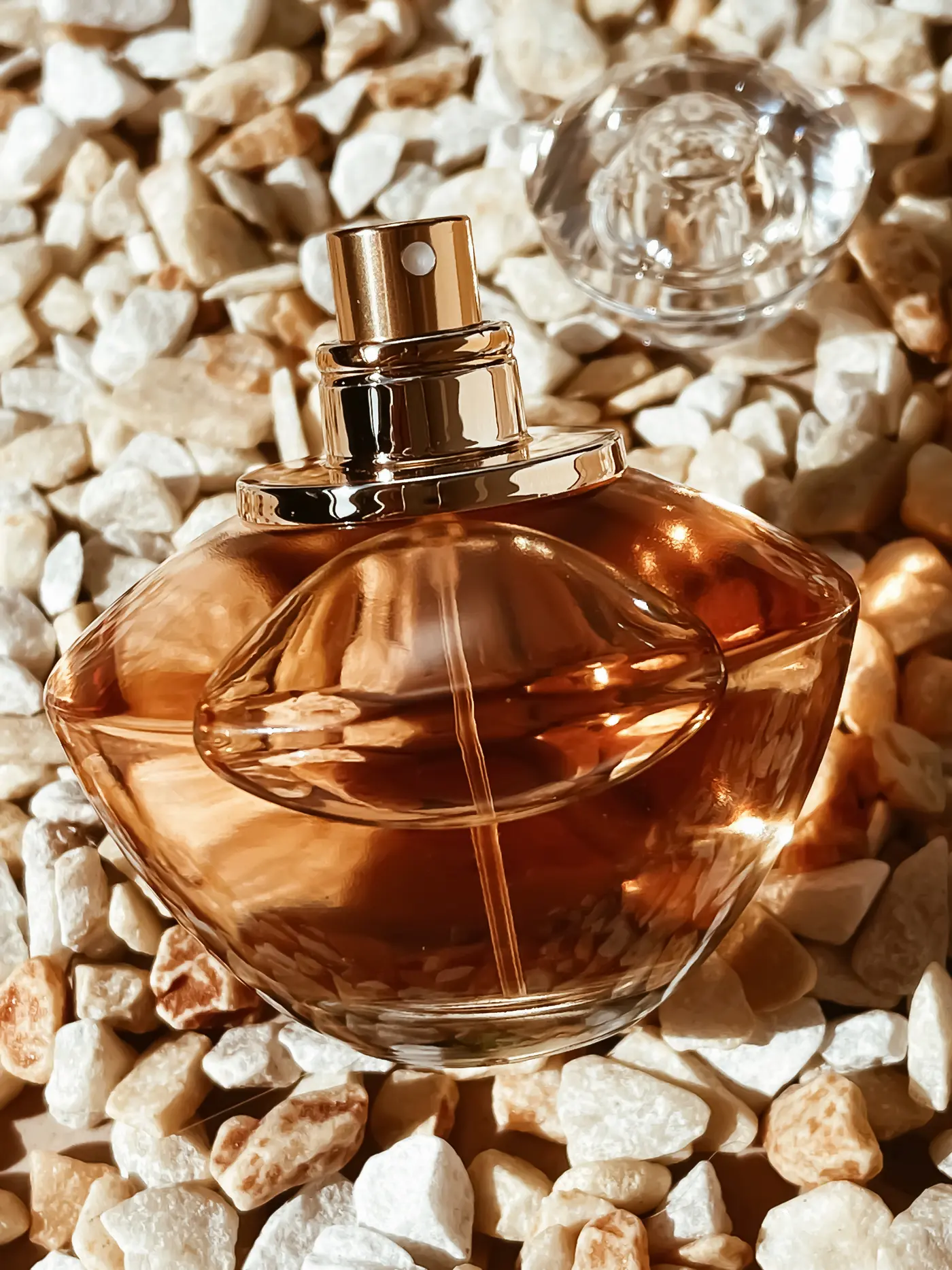Ambra Parfum