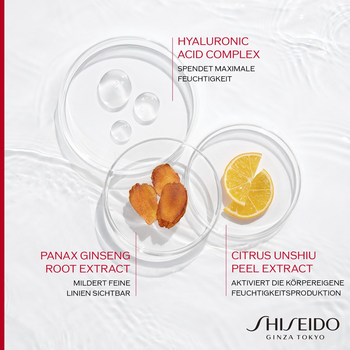 Inhaltsstoffe der Shiseido Feuchtigkeitspflege Essential Energy und Beschreibung ihrer Wirkung