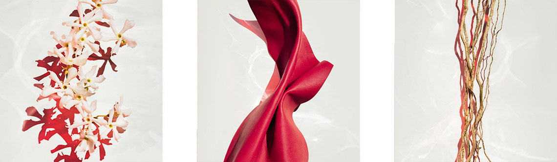 Duftnoten von BOSS ALIVE Parfum