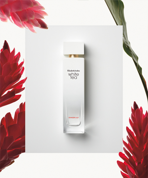 White Tea Ginger Lily