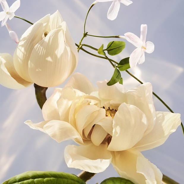 Ingredients OMNIA CRYSTALLINE Eau de Parfum