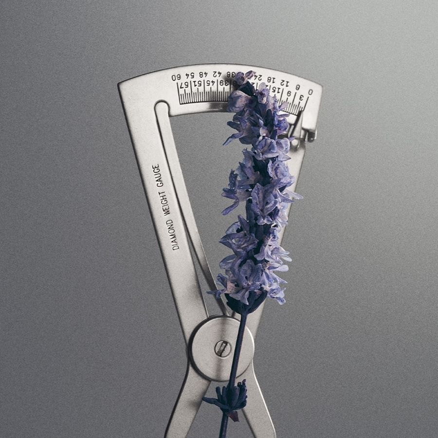 Duftnote: Vetiver
